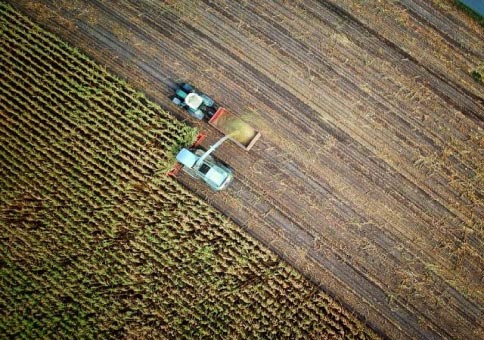 An aerial view of harvesting machines in a crop field.